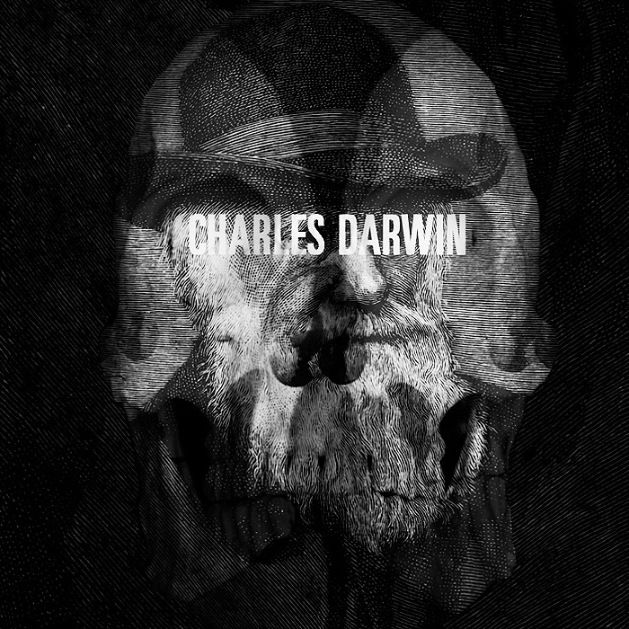 The Pleasuredome - 05/13/2009