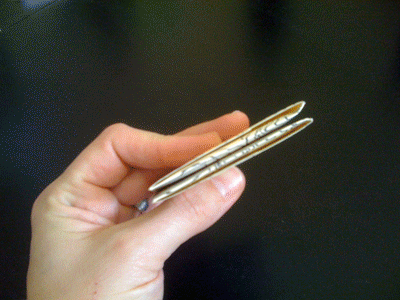 The Pleasuredome - 01/01/2010